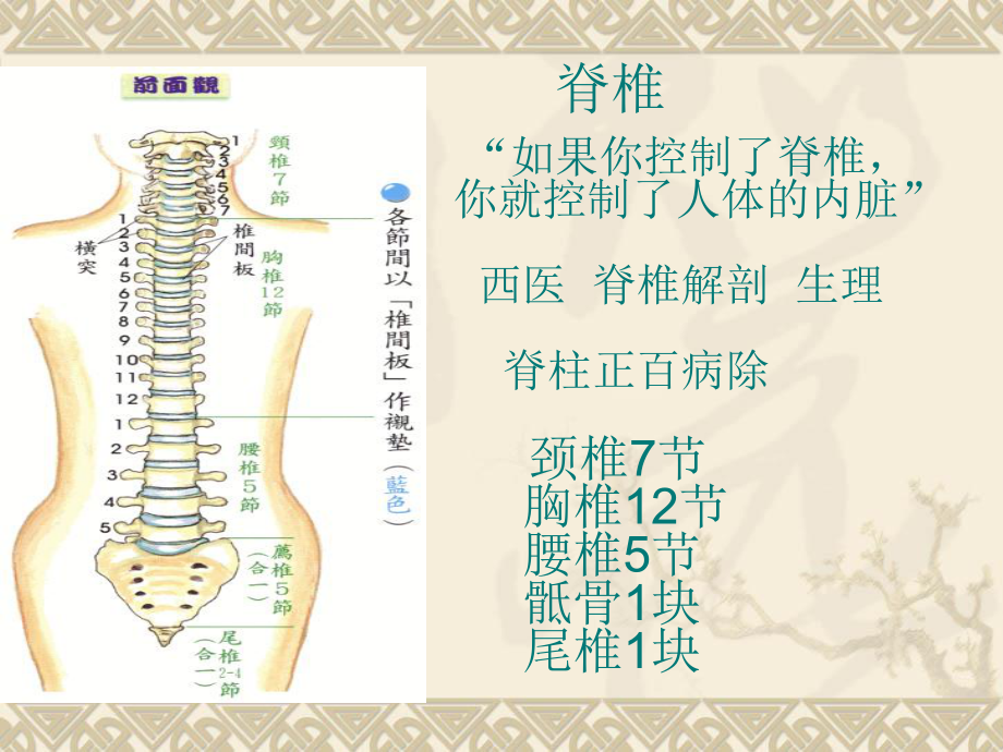 肩颈专业知识及图解图片