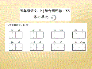 五年級(jí)上冊(cè)語(yǔ)文課件 - 第七單元 西師大版