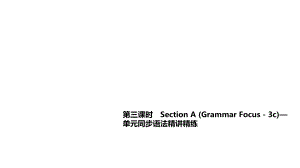 第三課時(shí)　Section A —單元同步語(yǔ)法精講精練2