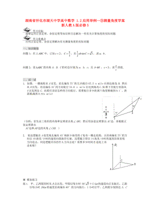 湖南省懷化市湖天中學(xué)高中數(shù)學(xué) 1.2應(yīng)用舉例-③測量角度學(xué)案 新人教A版必修