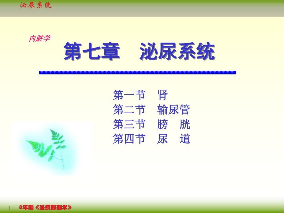 【醫(yī)學(xué)課件】核醫(yī)學(xué)泌尿系統(tǒng)ppt_第1頁