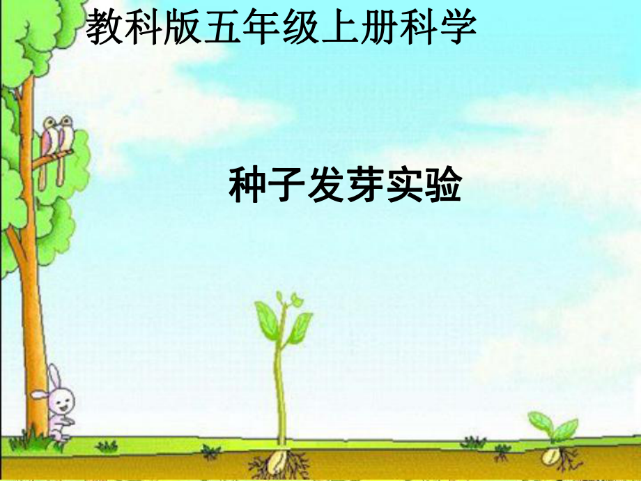 教科版小學(xué)五年級科學(xué)上冊課件《種子發(fā)芽實驗》_第1頁