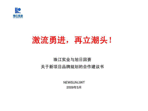 珠江实业与旭日因赛关于新项目品牌规划的合作建议书