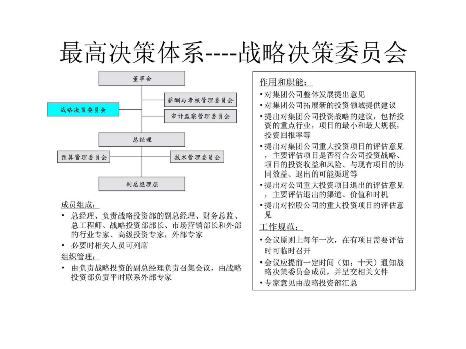 戰(zhàn)略決策委員會部門職責_第1頁