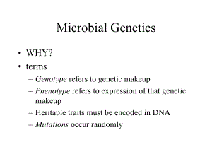 Microbial GeneticsPortland State University：微生物遺傳學波特蘭州立大學