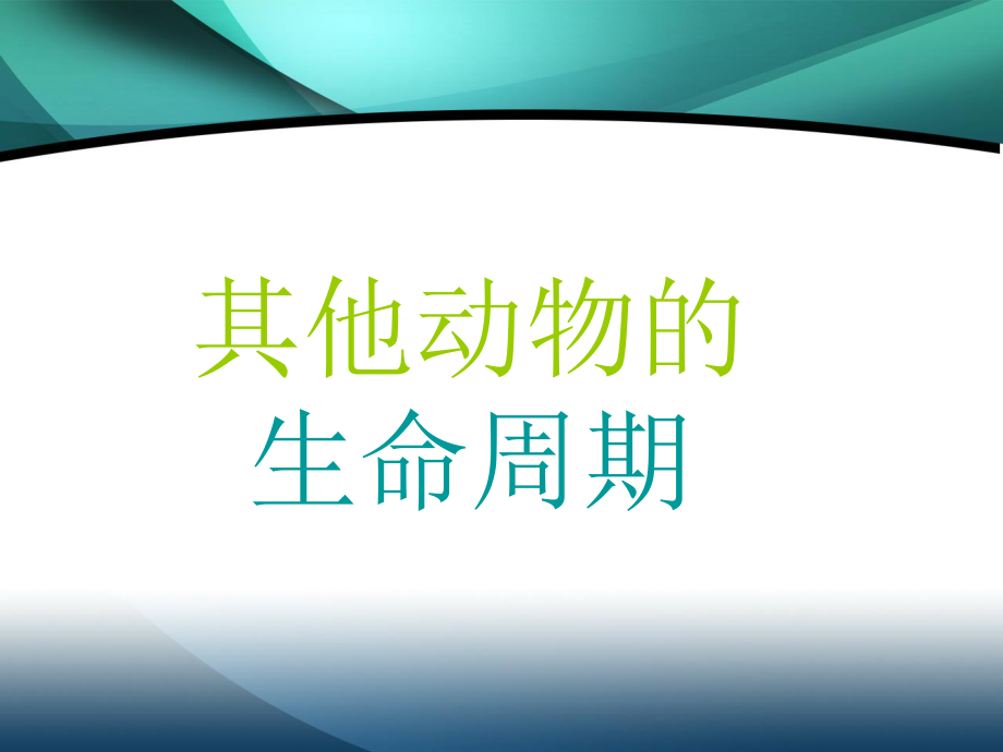 科教版三年級科學(xué)下冊課件《其他動物的生命周期》_第1頁