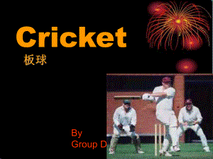 Cricket 4 板球介绍