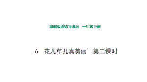 部編版道德與法治 花兒草兒真美麗第二課時課件