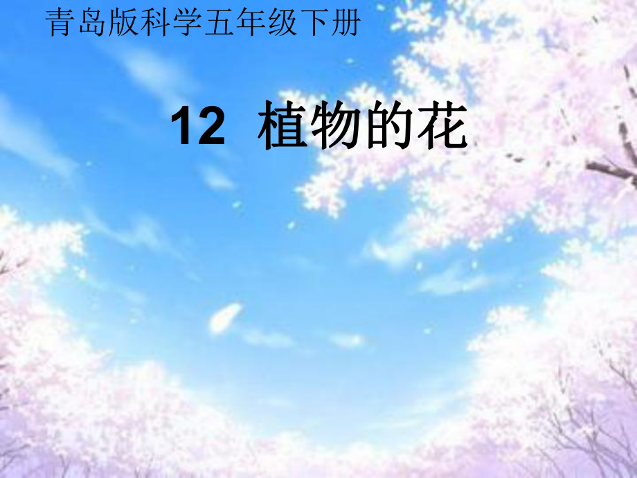 青島版小學(xué)科學(xué)五年級下冊《植物的花》ppt_第1頁