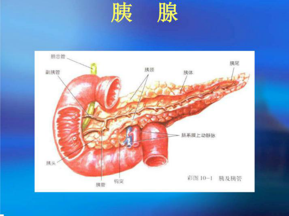 查房胰头癌护理查房