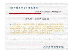 企業(yè)信用管理 第九章 企業(yè)內(nèi)部控制