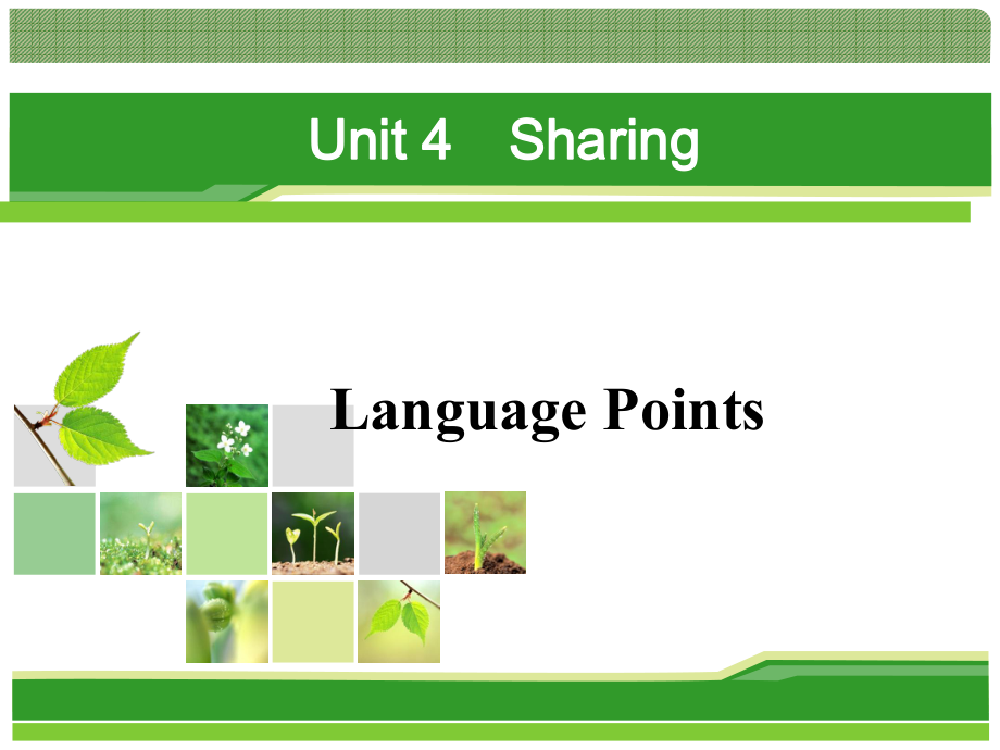 人教版选修7 unit 4 sharing Language Points_第1页