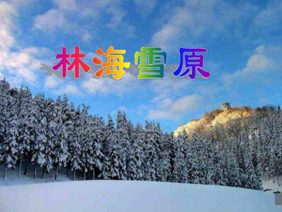 山東人民版小學(xué)五年級品德與社會下冊《林海雪原》課件2_第1頁