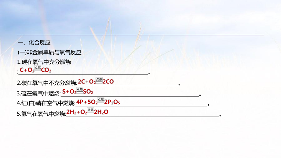 專項12 化學(xué)方程式集錦_第1頁