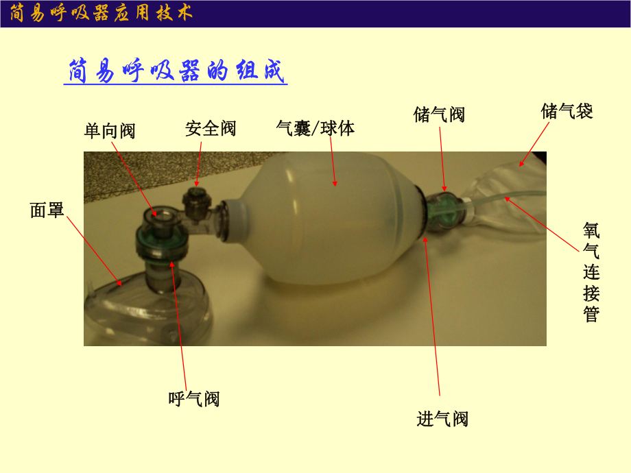 简易呼吸器四体六阀图片