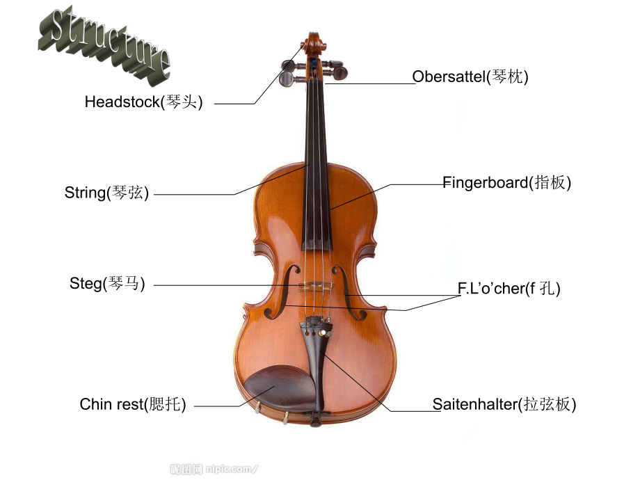 最新小提琴介绍英文ppt
