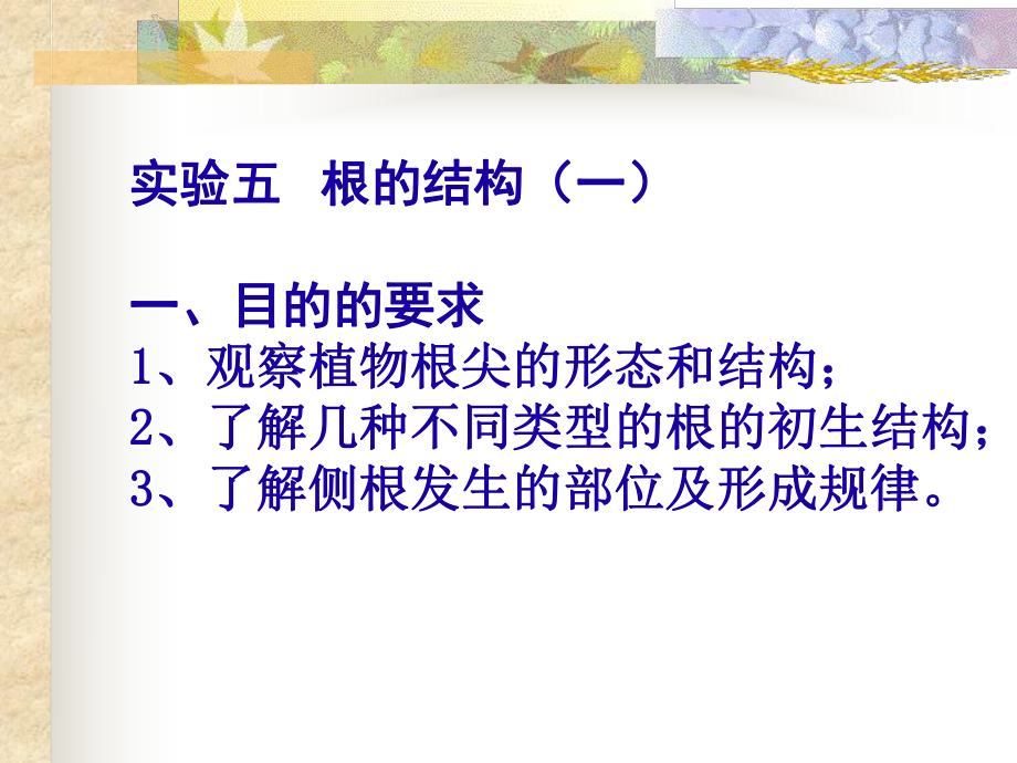 實驗五根的結構一一目的的要求1觀察植物根尖的形態和結構