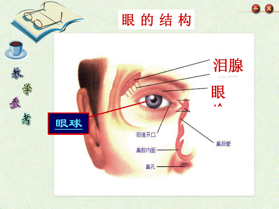 眼球結構及視覺.ppt