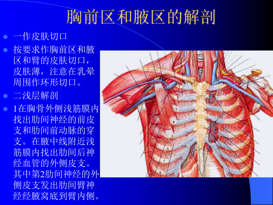 掌握腋窝位置