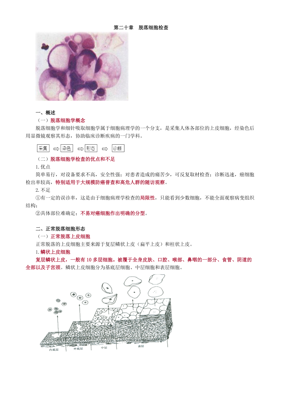 初級(jí)檢驗(yàn)技師考試2017年《臨床檢驗(yàn)基礎(chǔ)》講義第二十章脫落細(xì)胞檢查_第1頁(yè)