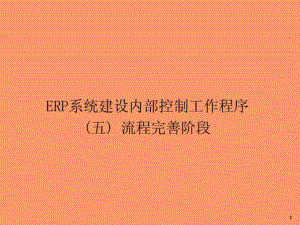 ERP系统内控工作程序流程完善阶段