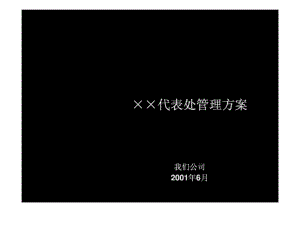 安達信東方通信咨詢項目全套文件代表處管理方案