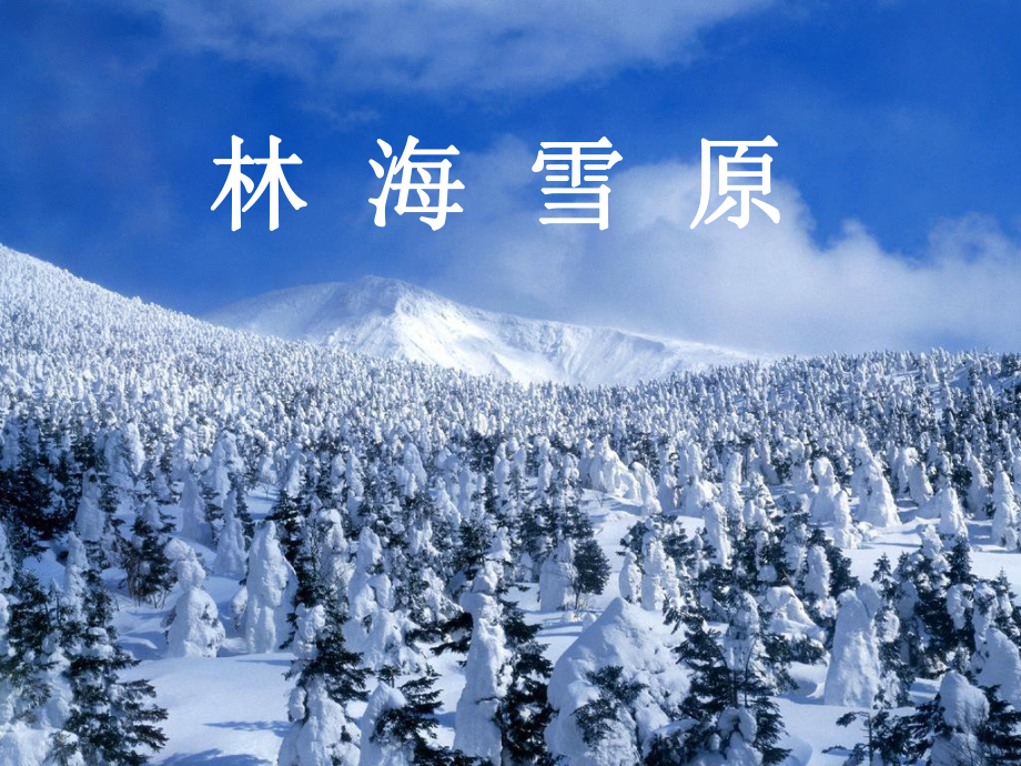 山東人民版小學(xué)五年級(jí)品德與社會(huì)下冊(cè)《林海雪原》課件　1_第1頁(yè)