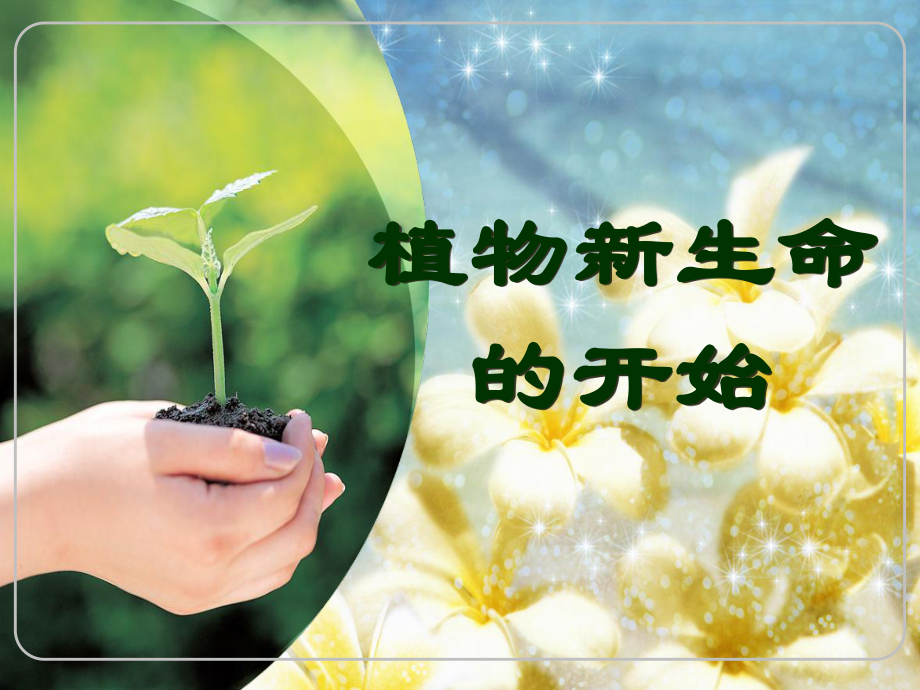 教科版小學(xué)科學(xué)三年級下冊《植物新生命的開始》_第1頁