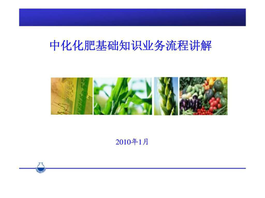 中化化肥基础知识业务流程讲解_第1页