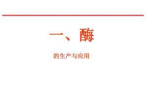 技術(shù)總結(jié)酶制劑.ppt