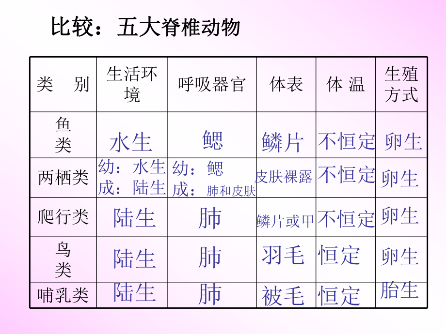 动物分类表结构图图片