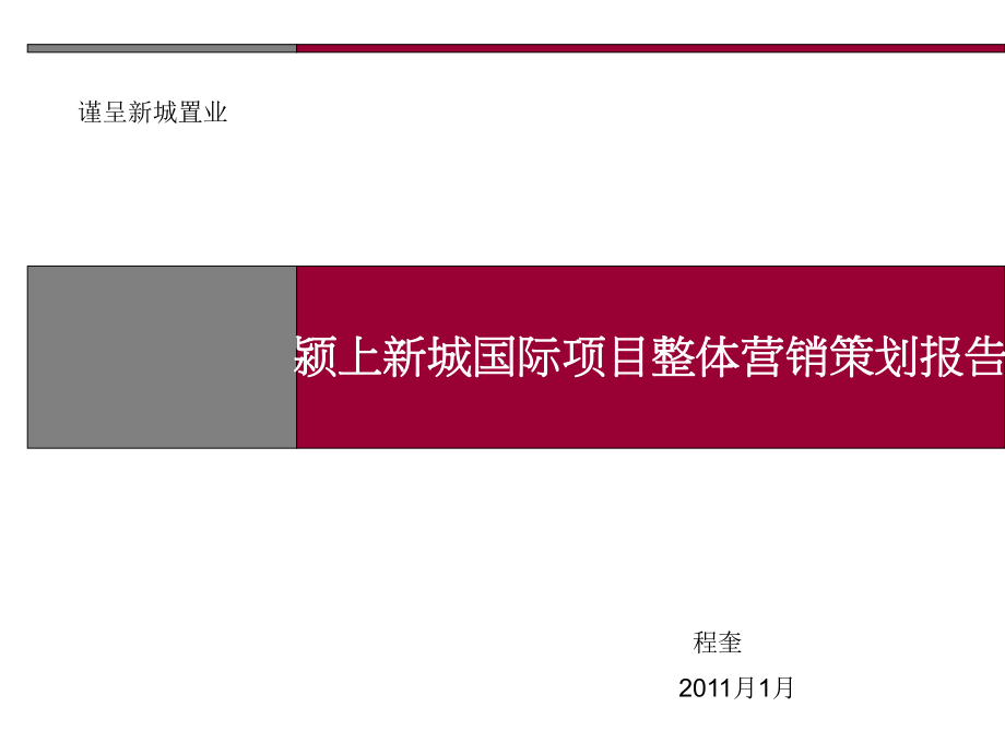 新城置业阜阳颍上县新城国际项目整体营销策划报告(85页)_第1页