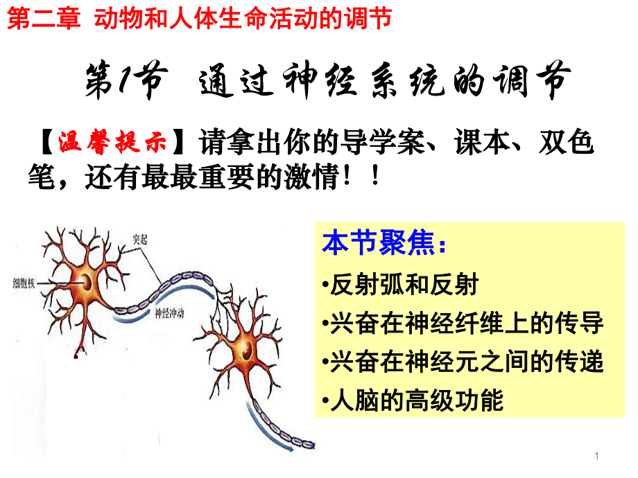 人教版高二生物必修三第二章第一節(jié)通過神經(jīng)系統(tǒng)的調(diào)節(jié)課件_第1頁(yè)