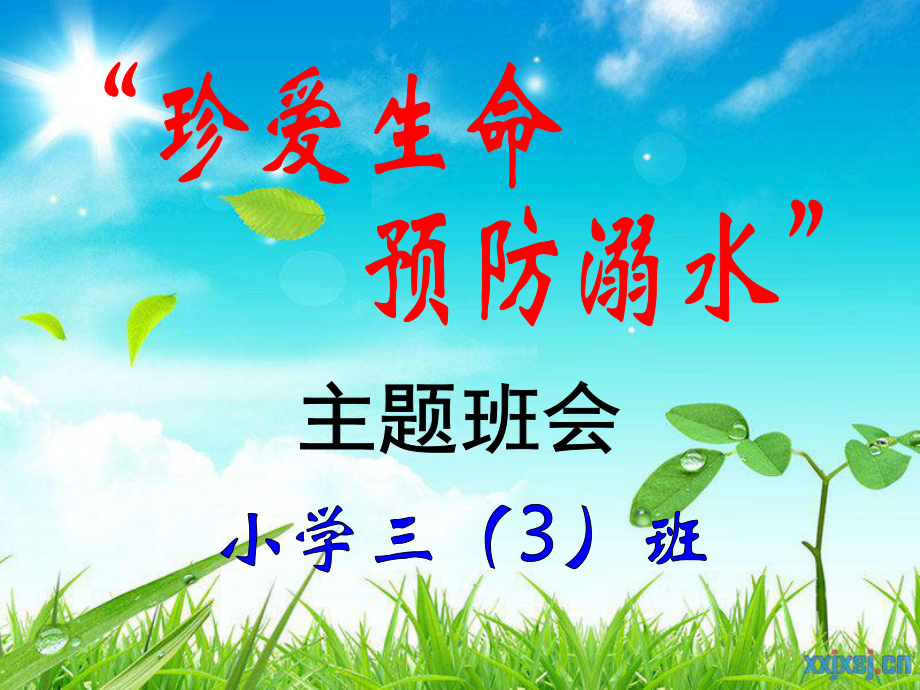 小學(xué)三年級(jí)（3）班《預(yù)防溺水》主題班會(huì)_第1頁