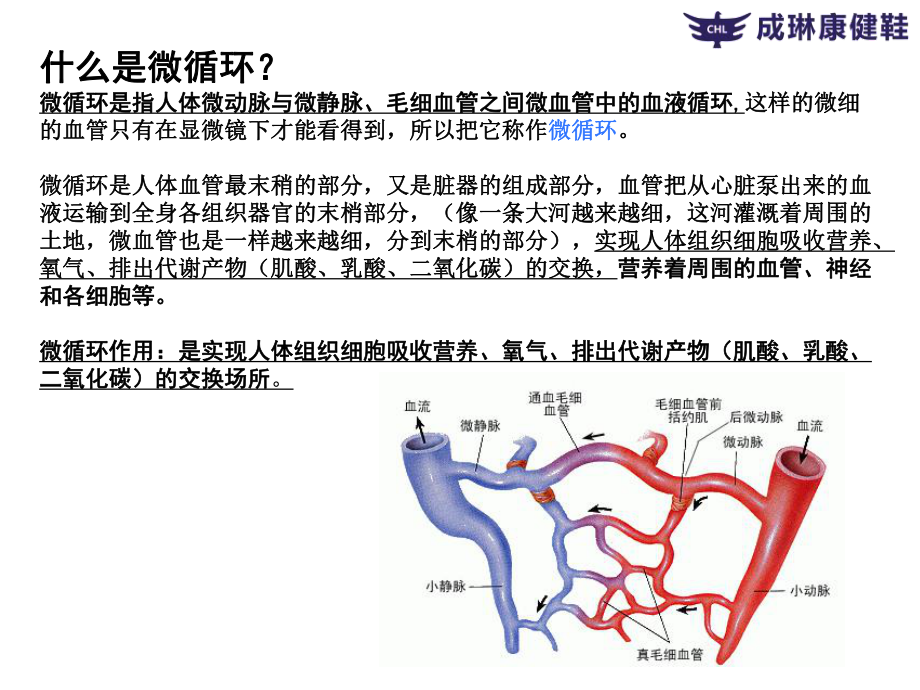 微循环检测仪讲解图片图片