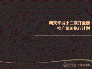 2010年上海浦东明天华城项目小二期开盘前推广策略执行计划 文档