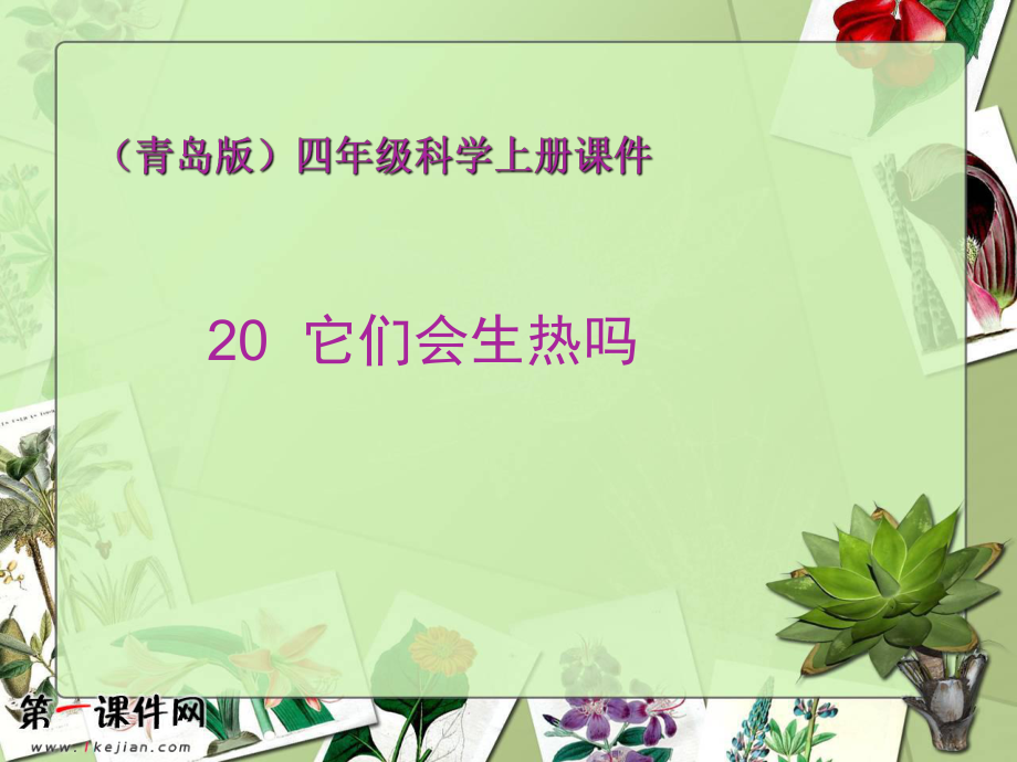 青岛版小学四年级科学上册课件《它们会生热吗》_第1页