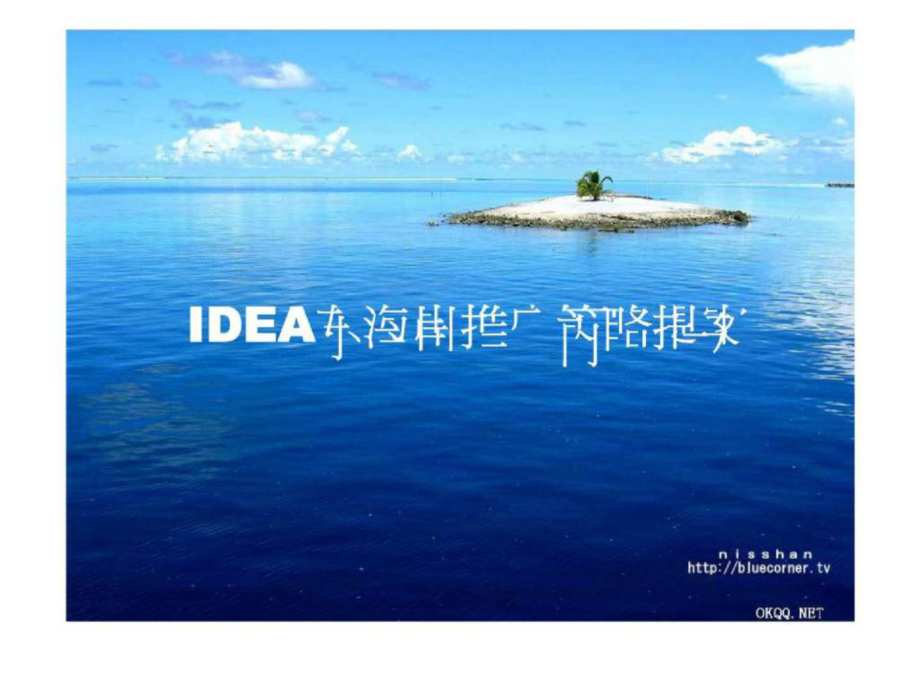 IDEA东海岸推广策略提案_第1页