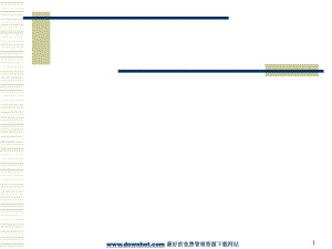 管理層持股的融資機(jī)制 (案例分析 研究報告 行業(yè)報告 企劃方案)