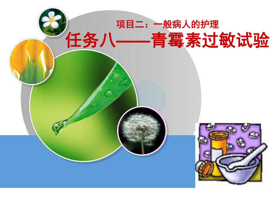 青黴素過敏試驗