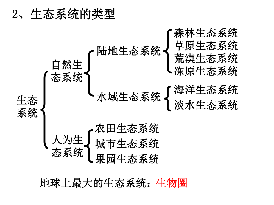 61生态系统的成分与营养结构课件