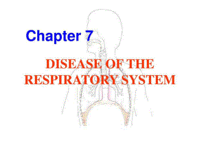 07 呼吸系統(tǒng)疾病