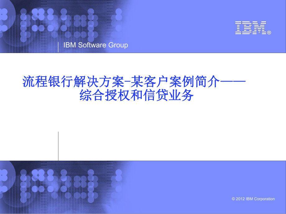 流程银行解决方案某客户案例简介—综合授权和信贷业务_第1页