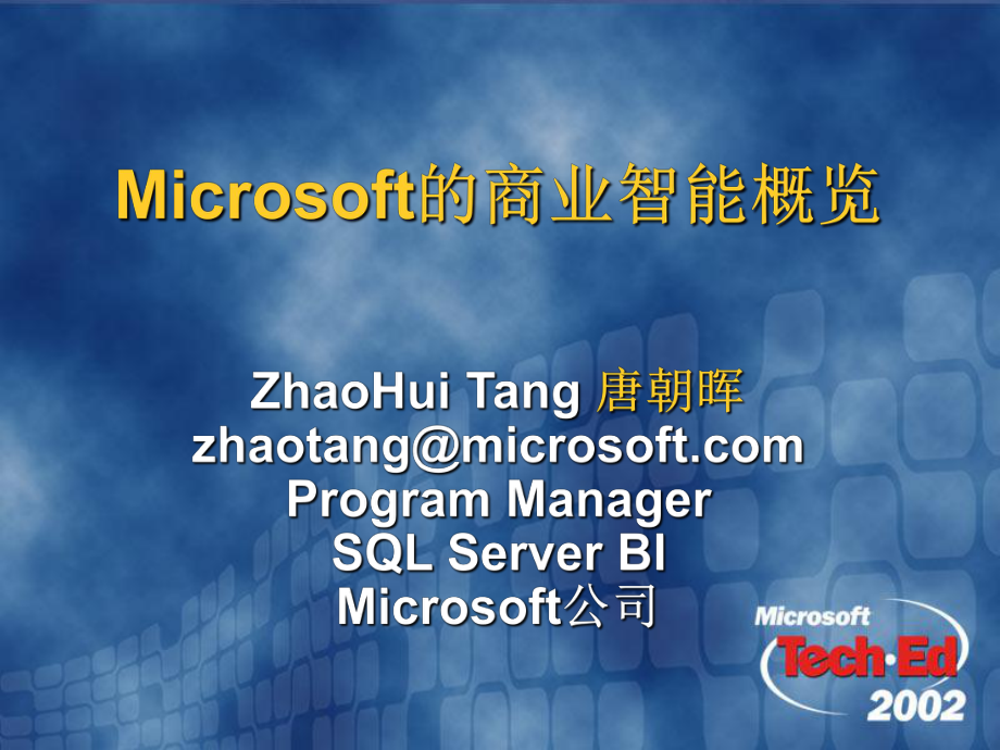 Microsoft的商业智能概览_第1页