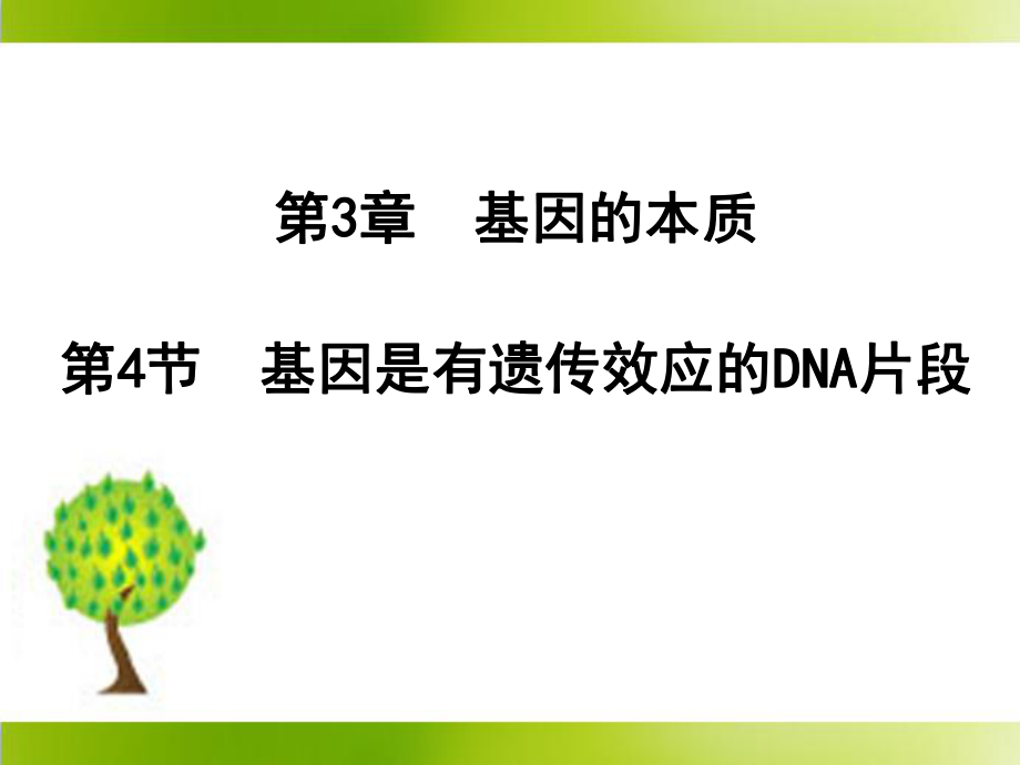 《基因是有遗传效应的DNA片段》参考课件2_第1页