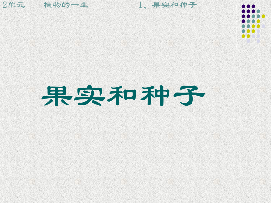 蘇教版小學(xué)三年級下冊《果實和種子》課件_第1頁