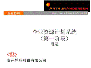 安达信贵州轮胎企业资源计划系统报告
