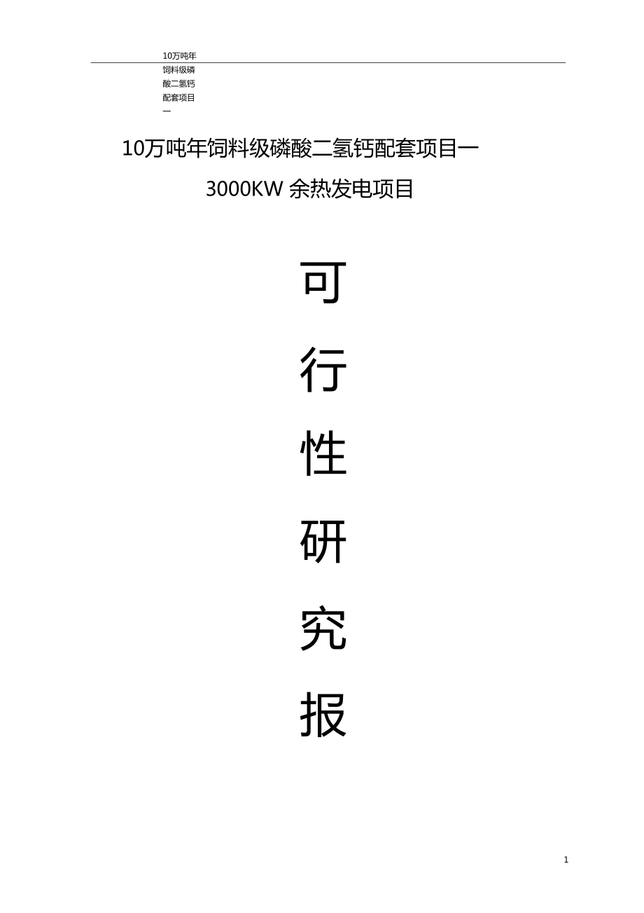 10万吨年饲料级磷酸二氢钙配套项目—3000KW余热发电建设项目可行性研究报告_第1页