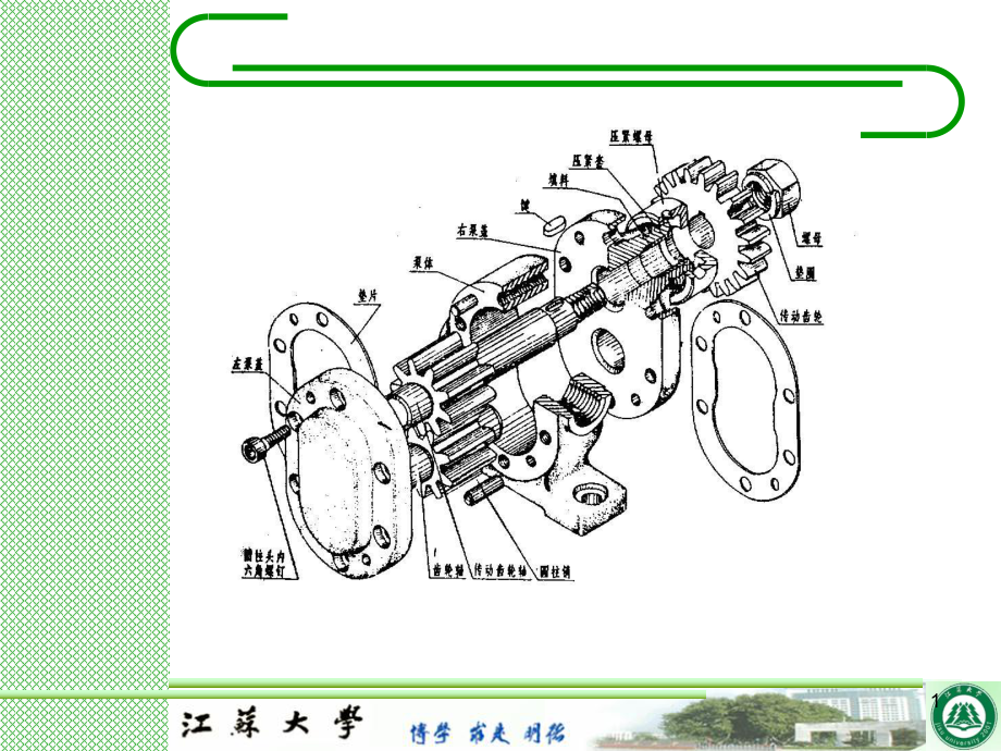 齿轮油泵零件图