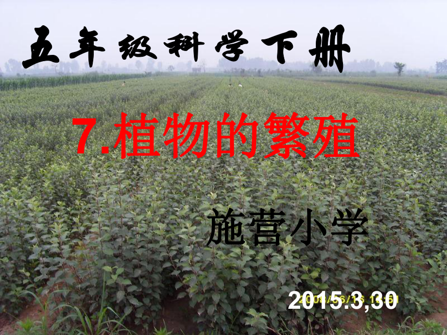 鄂教版小學(xué)科學(xué)五年級(jí)下冊(cè)《植物的繁殖》課件_第1頁(yè)